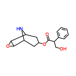 去甲东莨菪碱结构式
