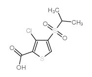 3-CHLORO-4-(ISOPROPYLSULFONYL)THIOPHENE-2-CARBOXYLIC ACID structure